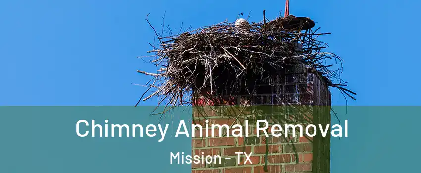  Chimney Animal Removal Mission - TX