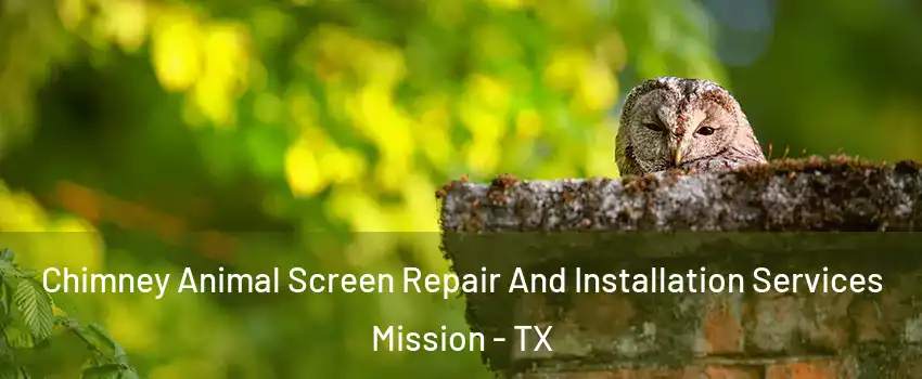  Chimney Animal Screen Repair And Installation Services Mission - TX