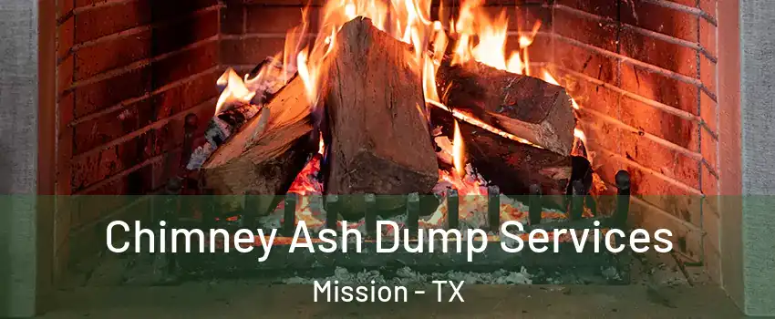  Chimney Ash Dump Services Mission - TX