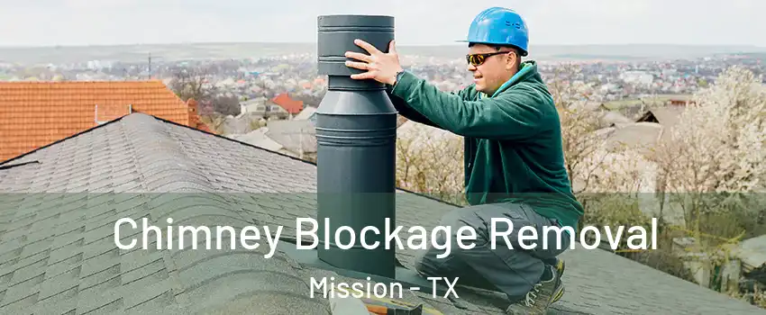  Chimney Blockage Removal Mission - TX