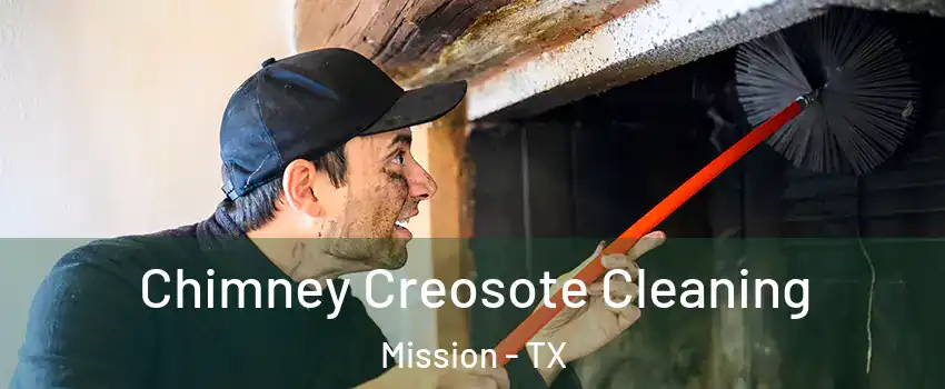  Chimney Creosote Cleaning Mission - TX