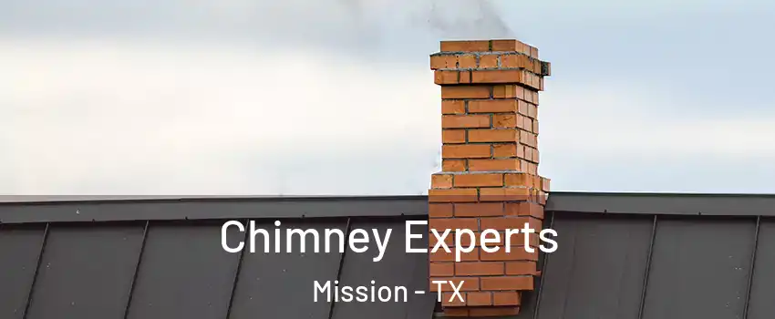  Chimney Experts Mission - TX