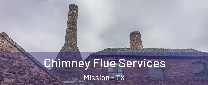  Chimney Flue Services Mission - TX