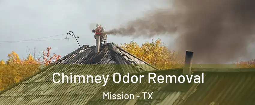  Chimney Odor Removal Mission - TX