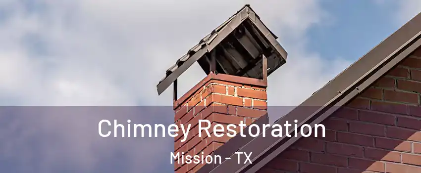  Chimney Restoration Mission - TX