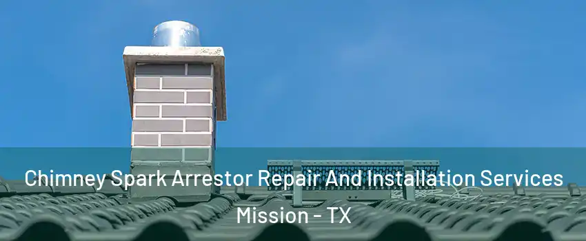  Chimney Spark Arrestor Repair And Installation Services Mission - TX