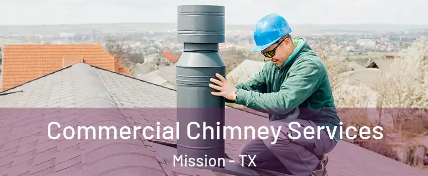  Commercial Chimney Services Mission - TX