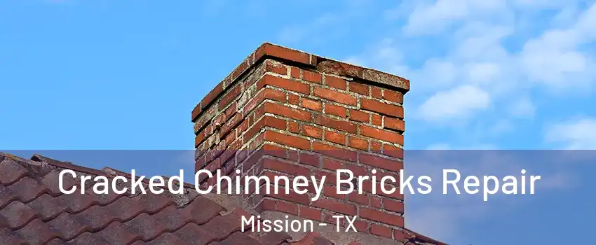  Cracked Chimney Bricks Repair Mission - TX