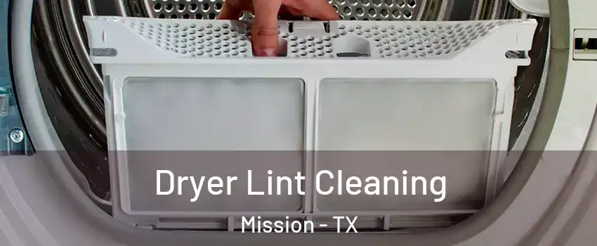  Dryer Lint Cleaning Mission - TX