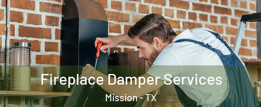  Fireplace Damper Services Mission - TX