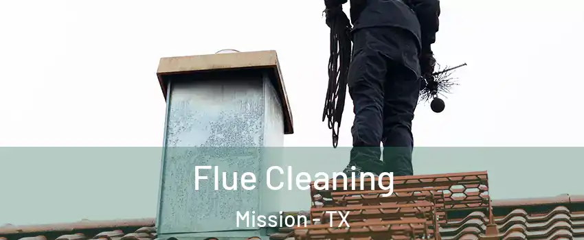  Flue Cleaning Mission - TX