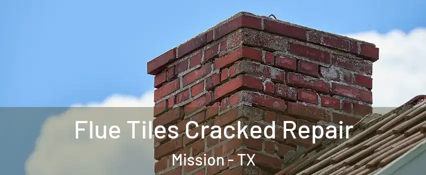  Flue Tiles Cracked Repair Mission - TX