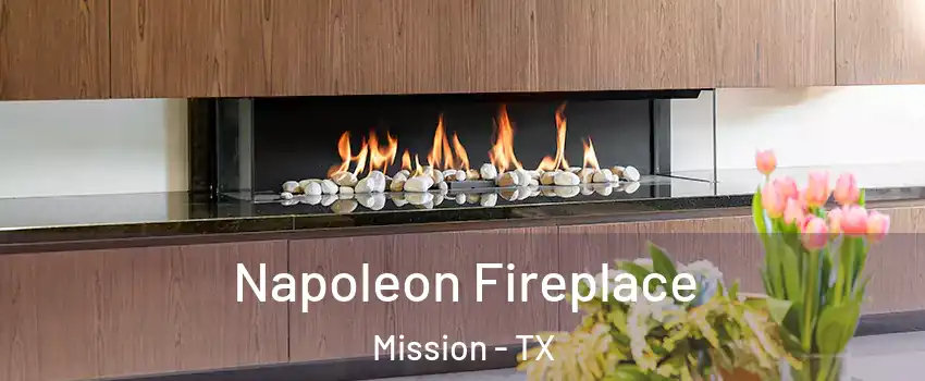  Napoleon Fireplace Mission - TX