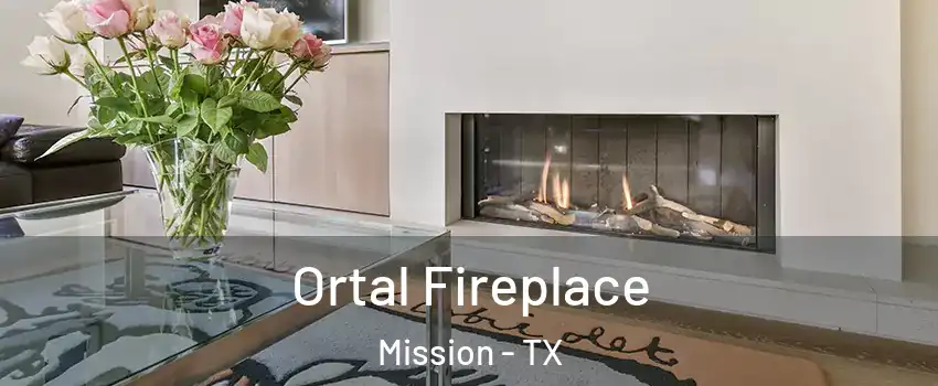  Ortal Fireplace Mission - TX